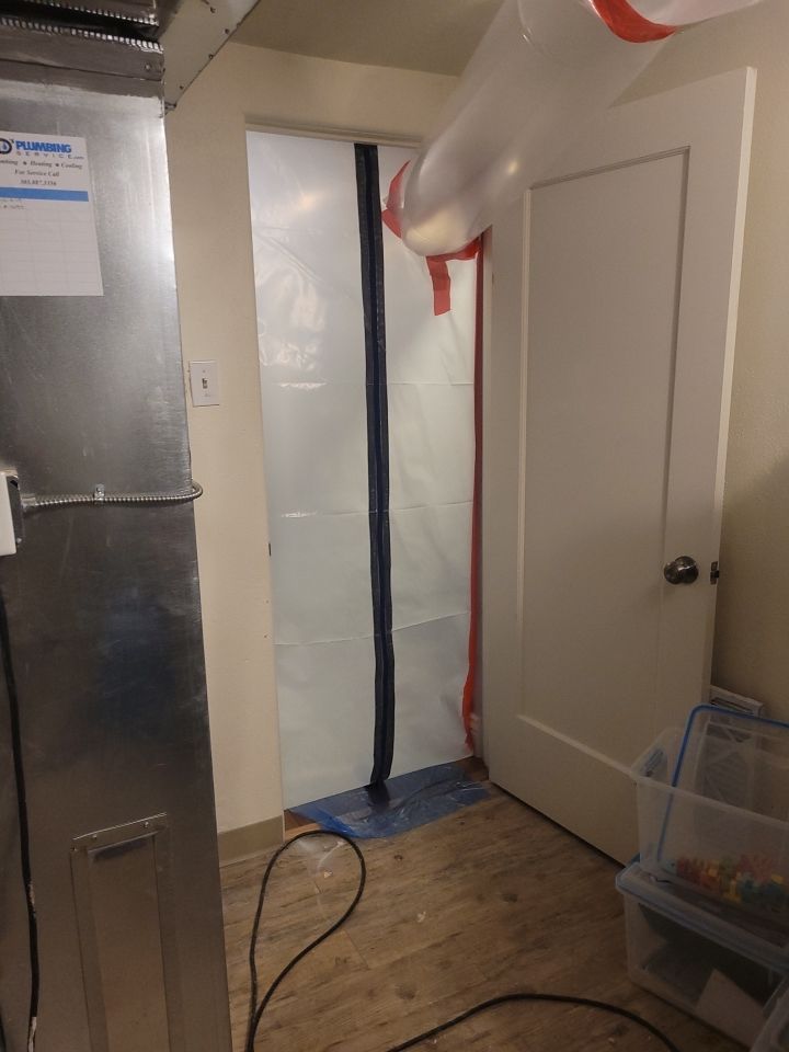 Mold Remediation by Accountable Home Services