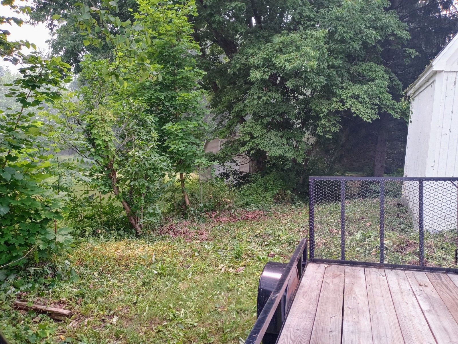 Tree Removal using Tree Removal by Mike Jones & Sons Tree Service LLC 