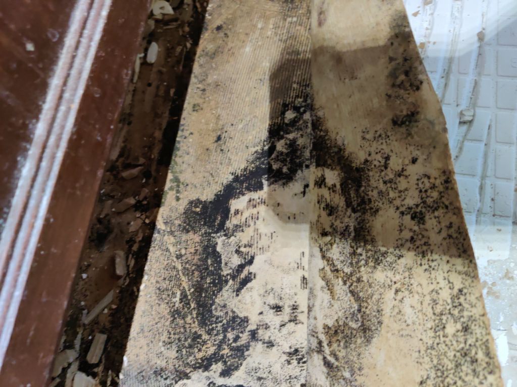 Mold Remediation in Kitchen by Accountable Home Services