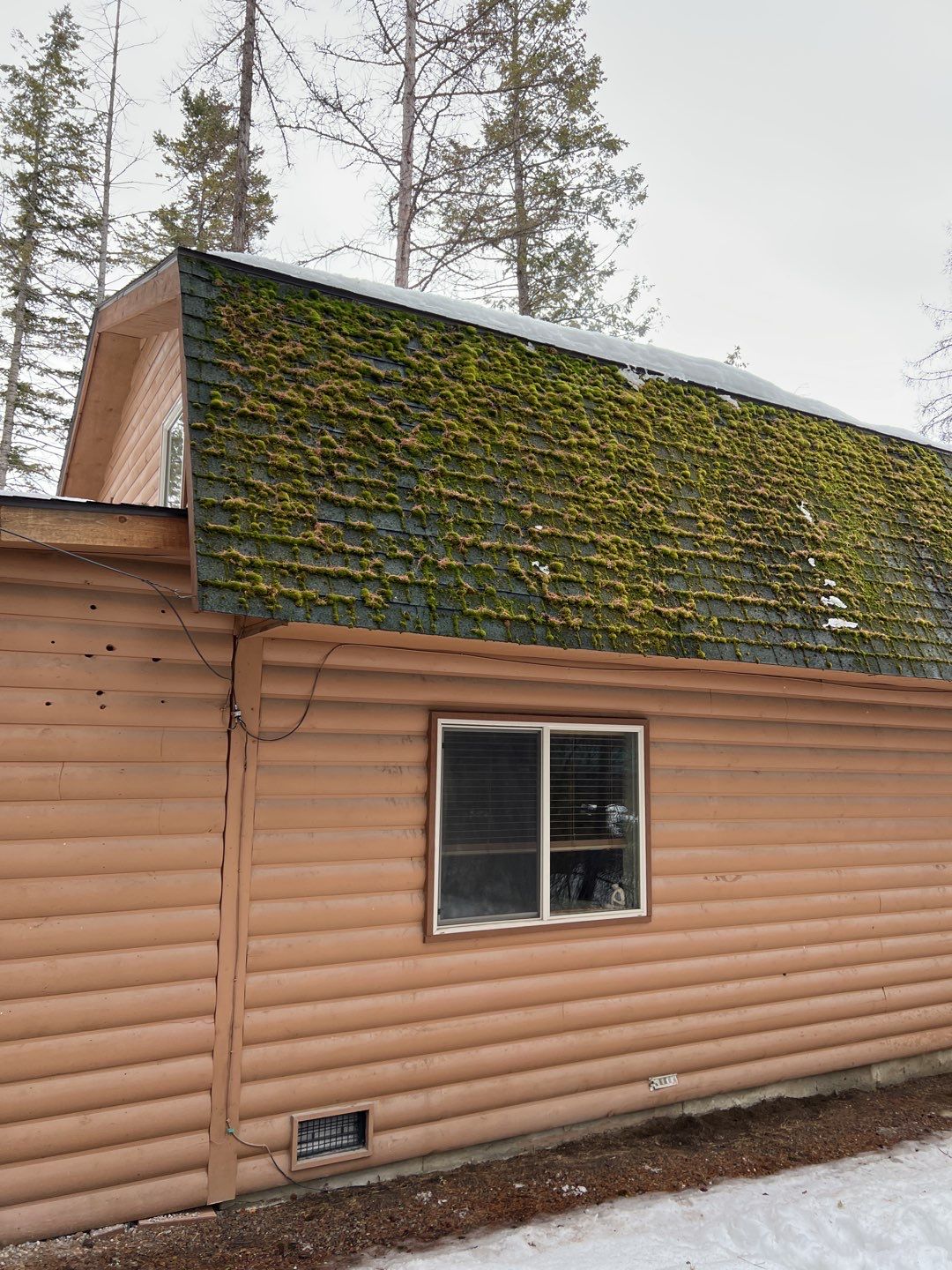 GAF Timberline HDZ - Hunter Green by Montana Roofing Solutions