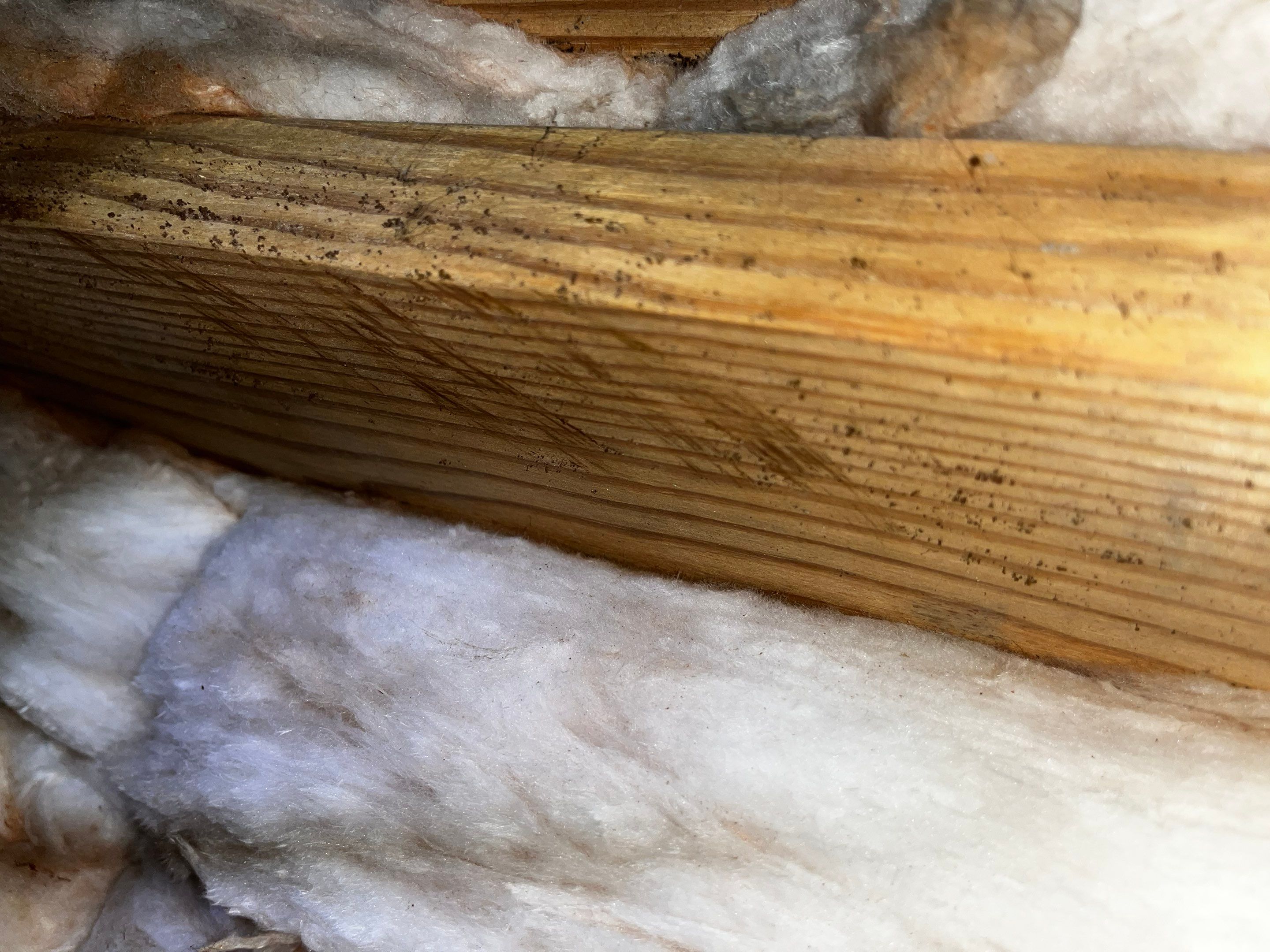 Impact Choice Encapsulation with French Drain and Crawlspace Doors by Impact Crawlspace