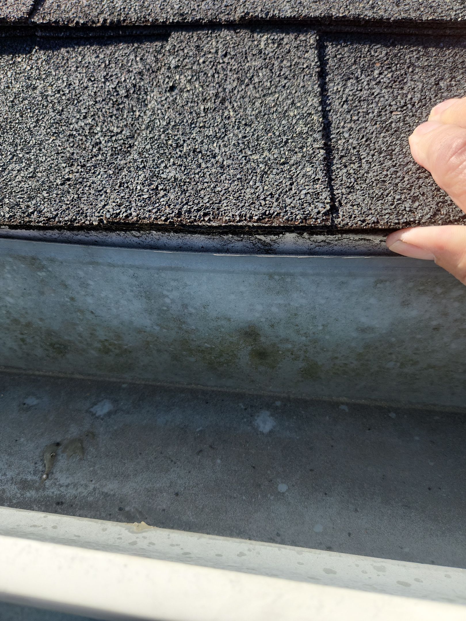 Project in Towson by Elvis General Construction LLC