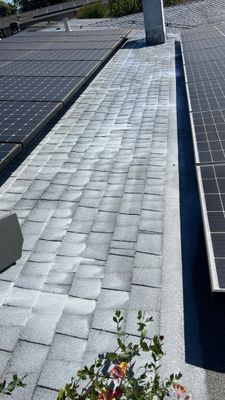 Roof Rejuvenation using Roof Maxx Treatment
