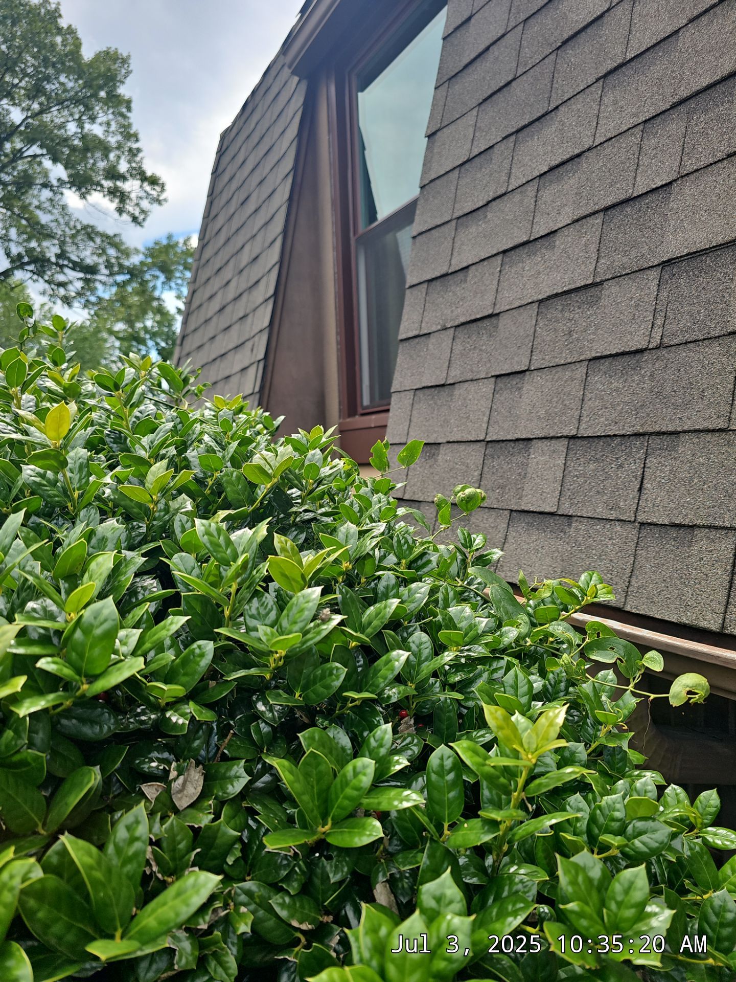 Benson Project in Hoover by The Window Source