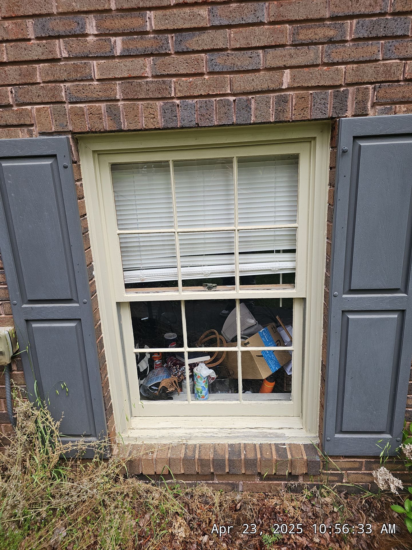 Pantanzis Project in Birmingham by The Window Source