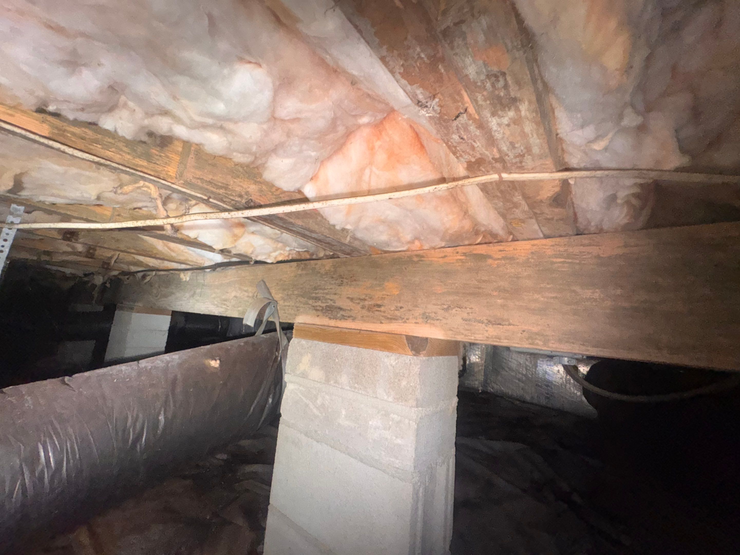Moisture Barrier, Mold Clean, Structural Repair, Dehumidifier, R19 Insulation. by Impact Crawlspace