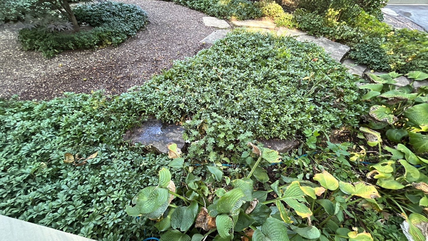 natural stone using Algaecide, soft wash soap by Northern Power Washing LLC.