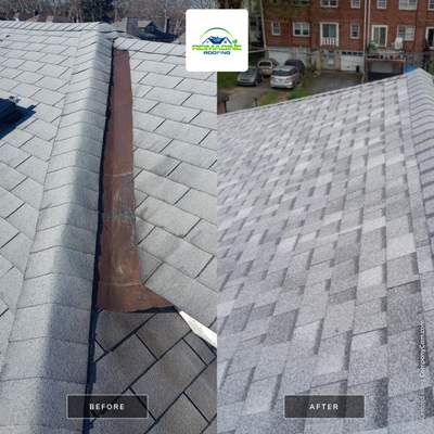 Silver Birch Shingles