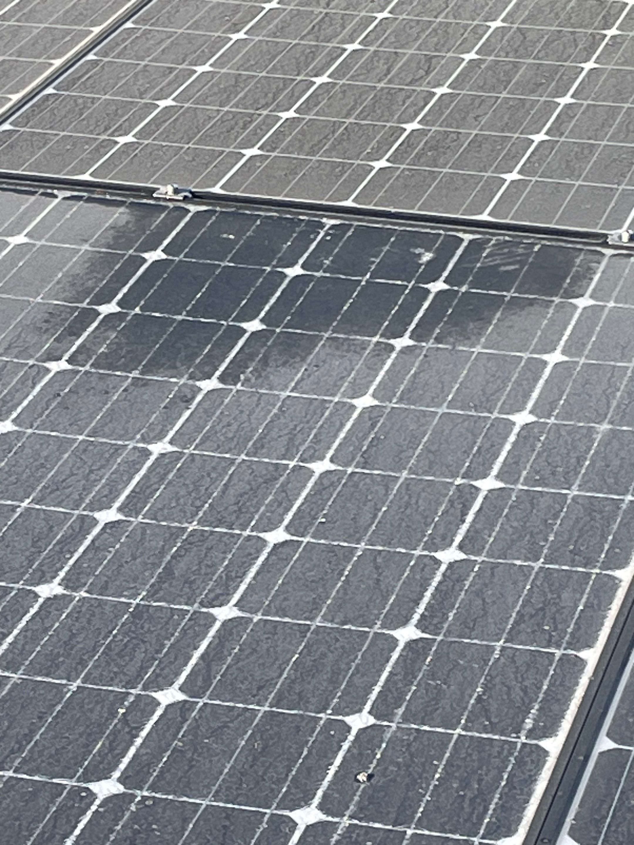Commercial Solar Panel Cleaning for Chandler School in Pasadena Ca by Palm Coast Solar Cleaning