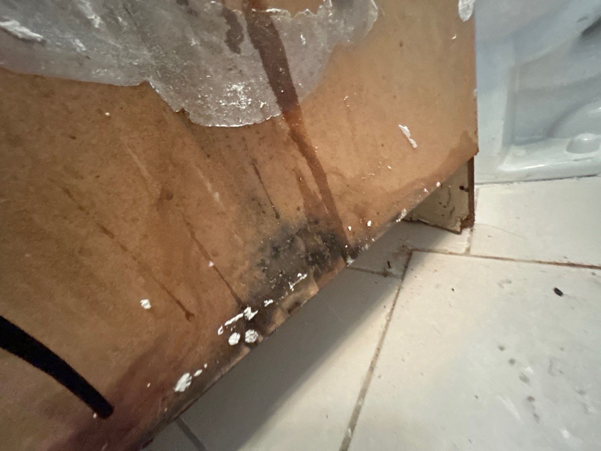 Mold Inspection & Removal by Ampm Restoration Services