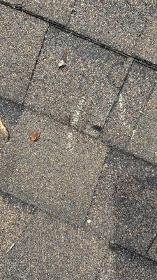 Turtle Shell gutter protection installation in Naperville, IL 60563, photograph 19