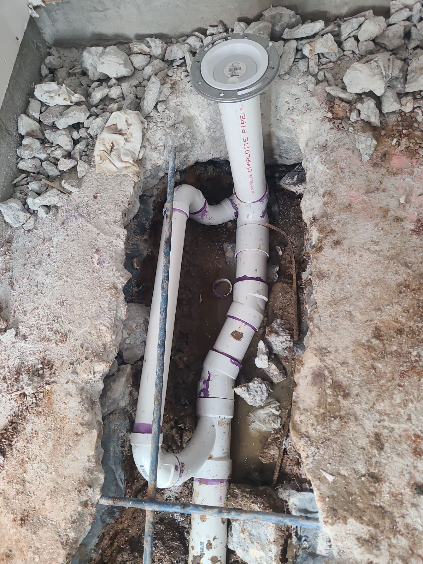 The DeSaro Family by SophAlx LLC