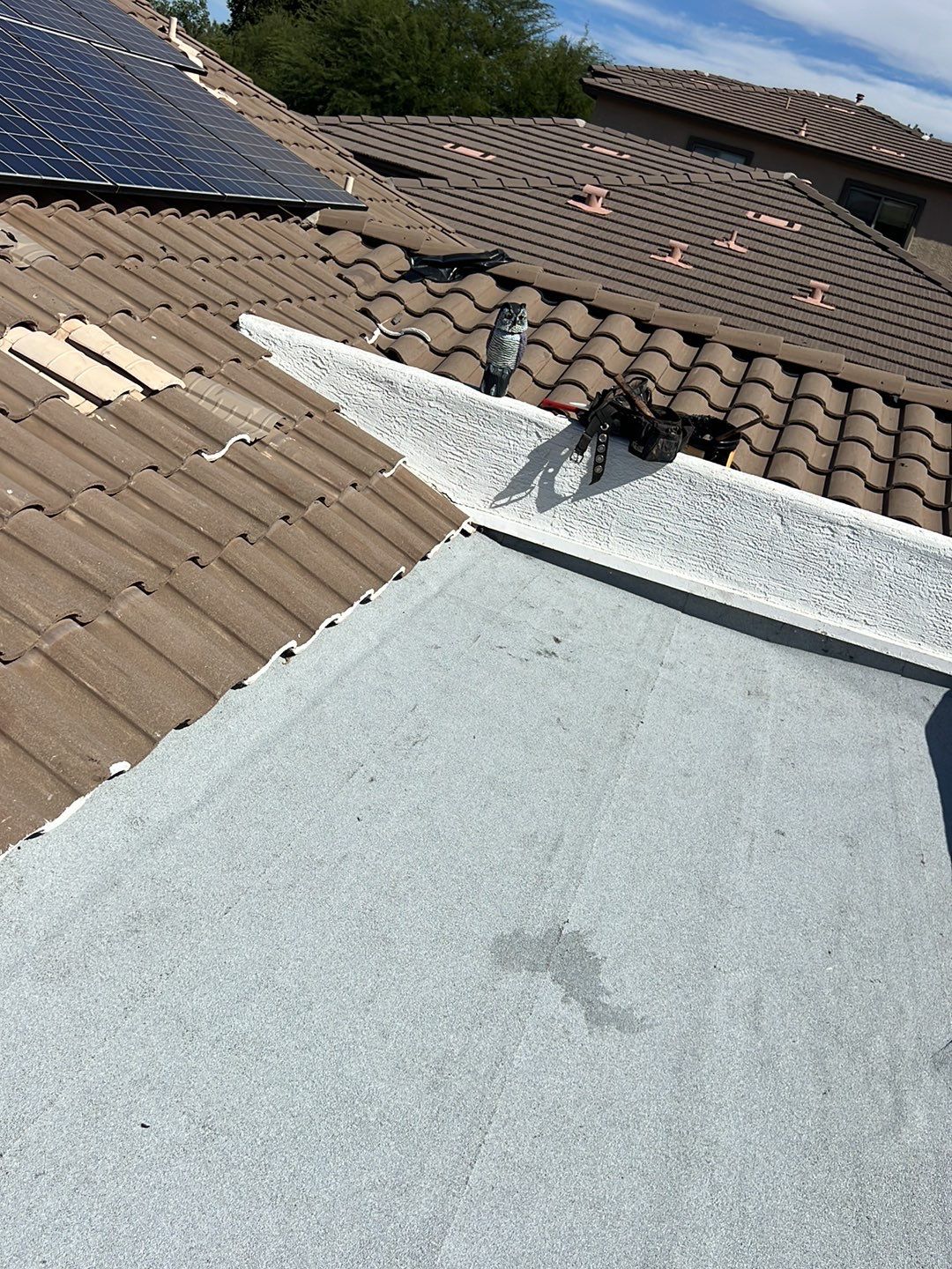 Modified Bitumen Membrane by Reimagine Roofing