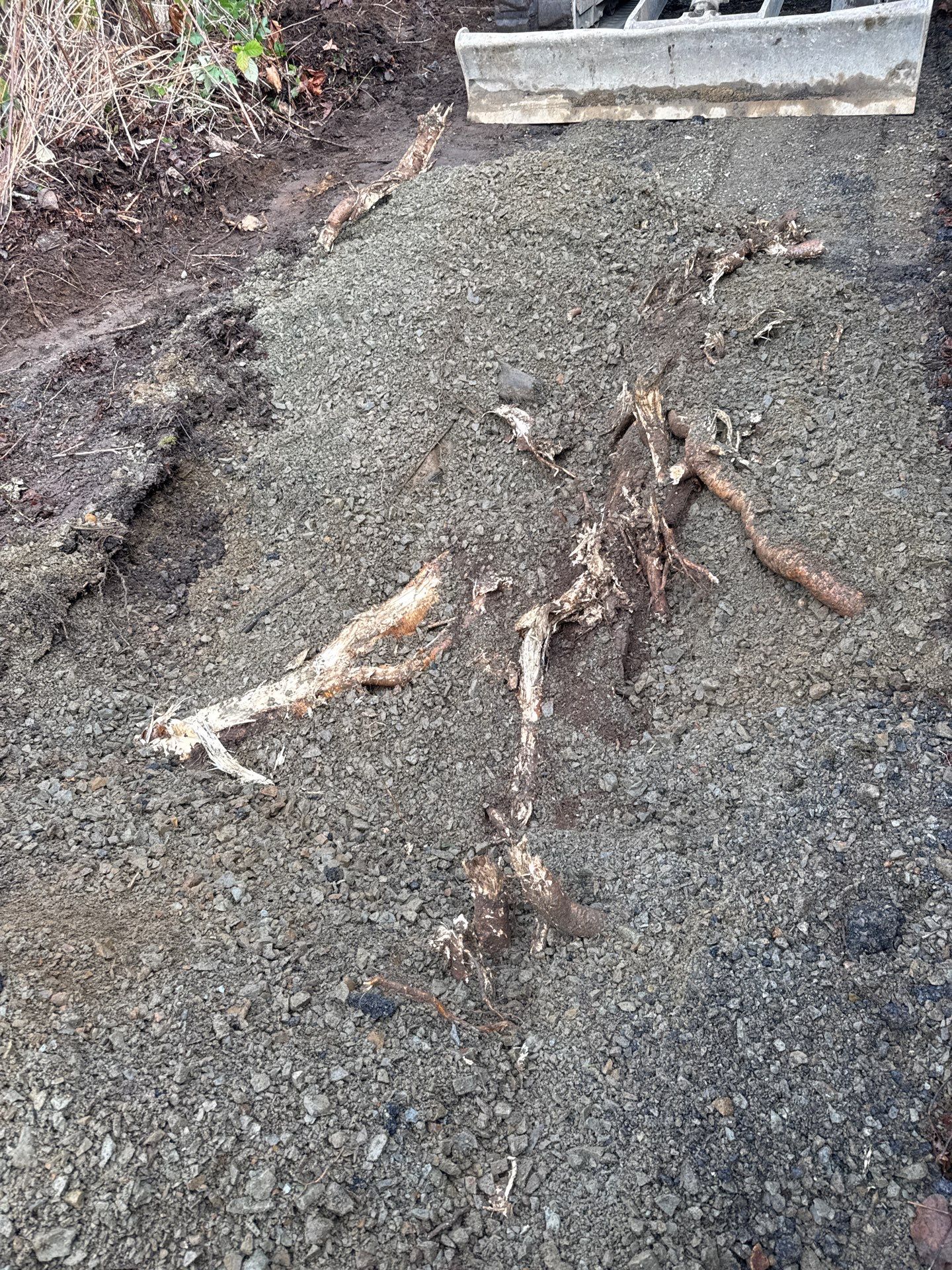 Asphalt Driveway Repair | Lake Stevens  by Jireh Asphalt & Concrete Inc 