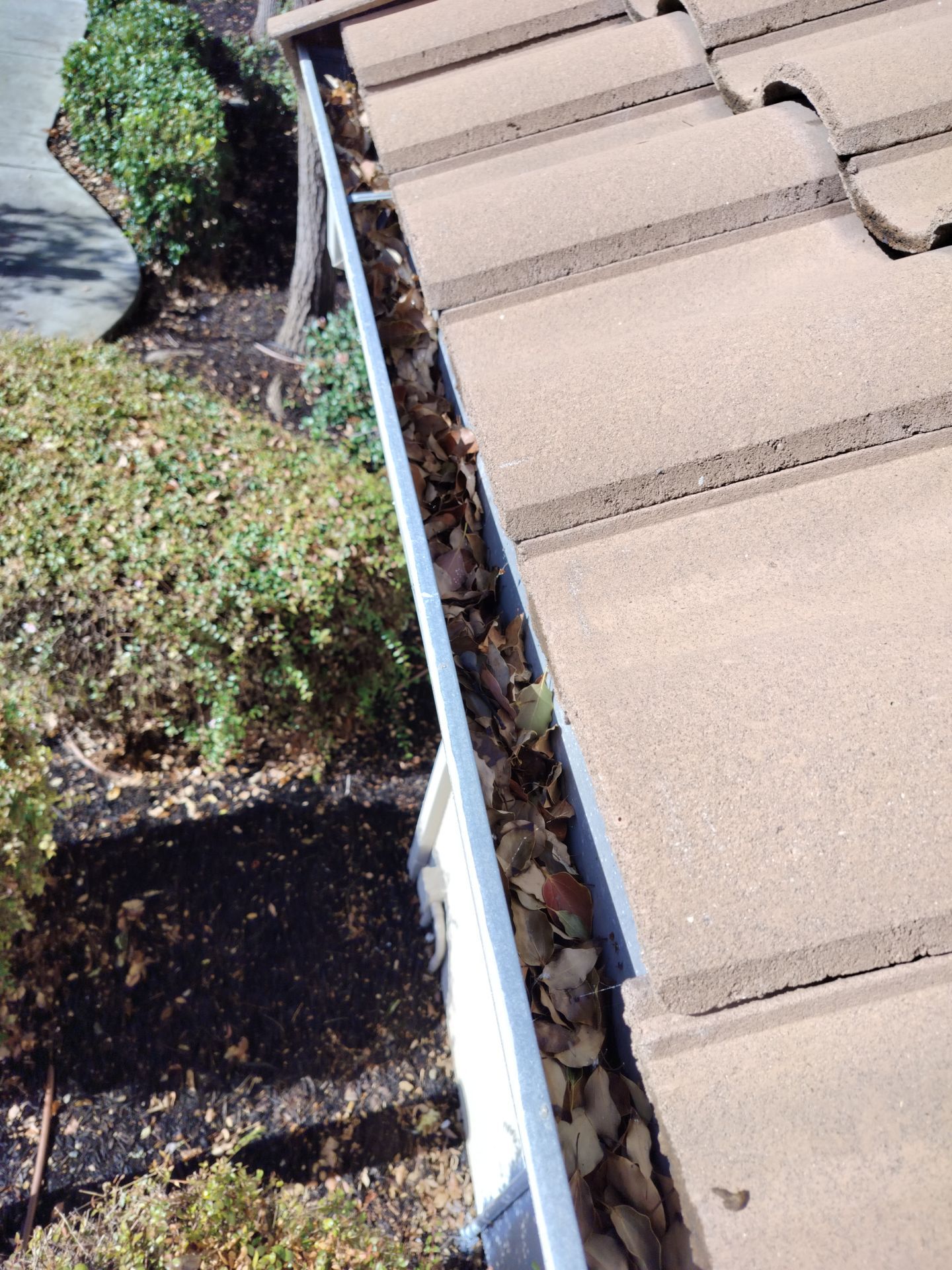 Commercial gutter cleaning San Jose before photo with filled gutters