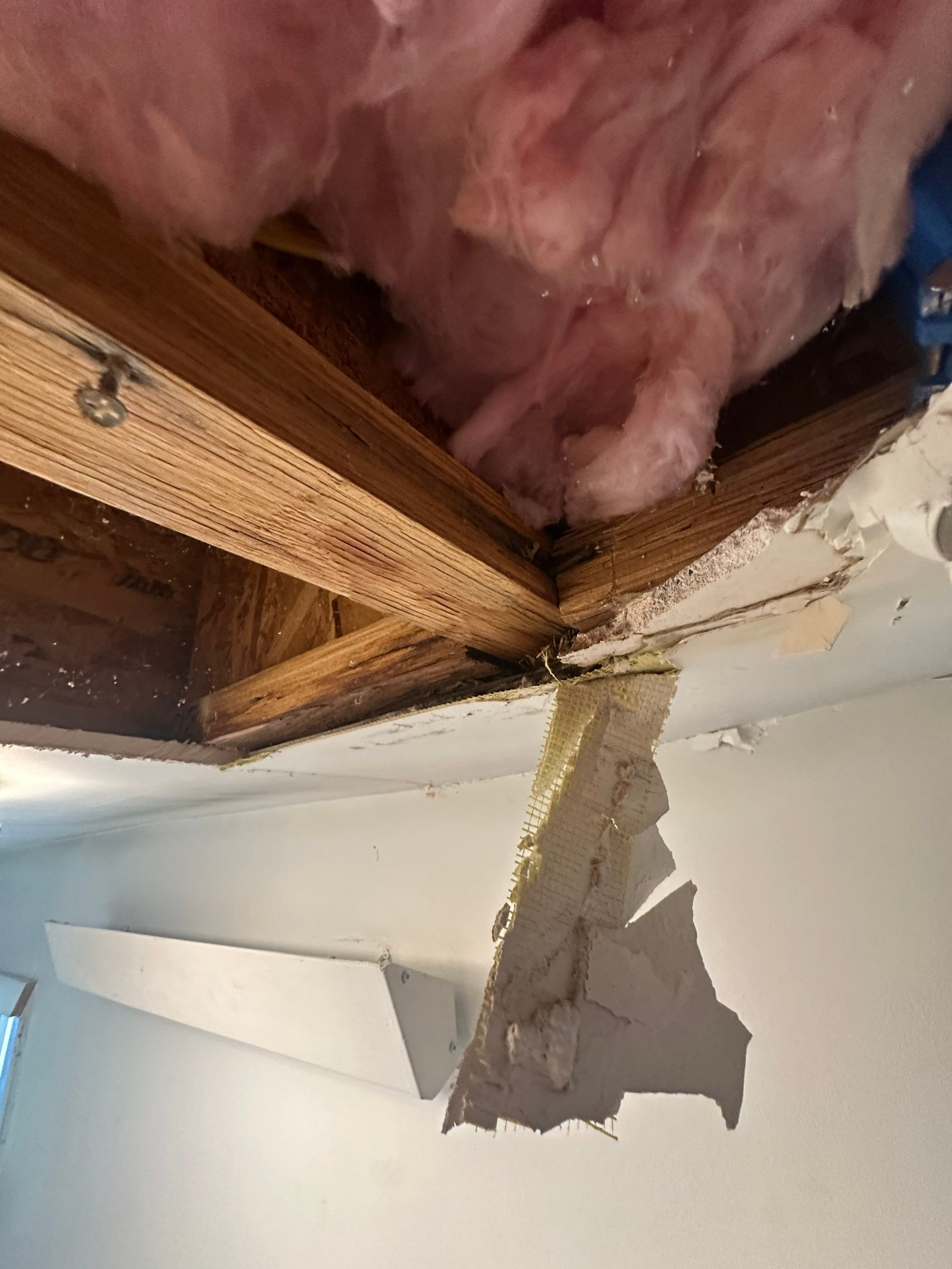 Water Damage in Denver, CO by Alpha Restoration 