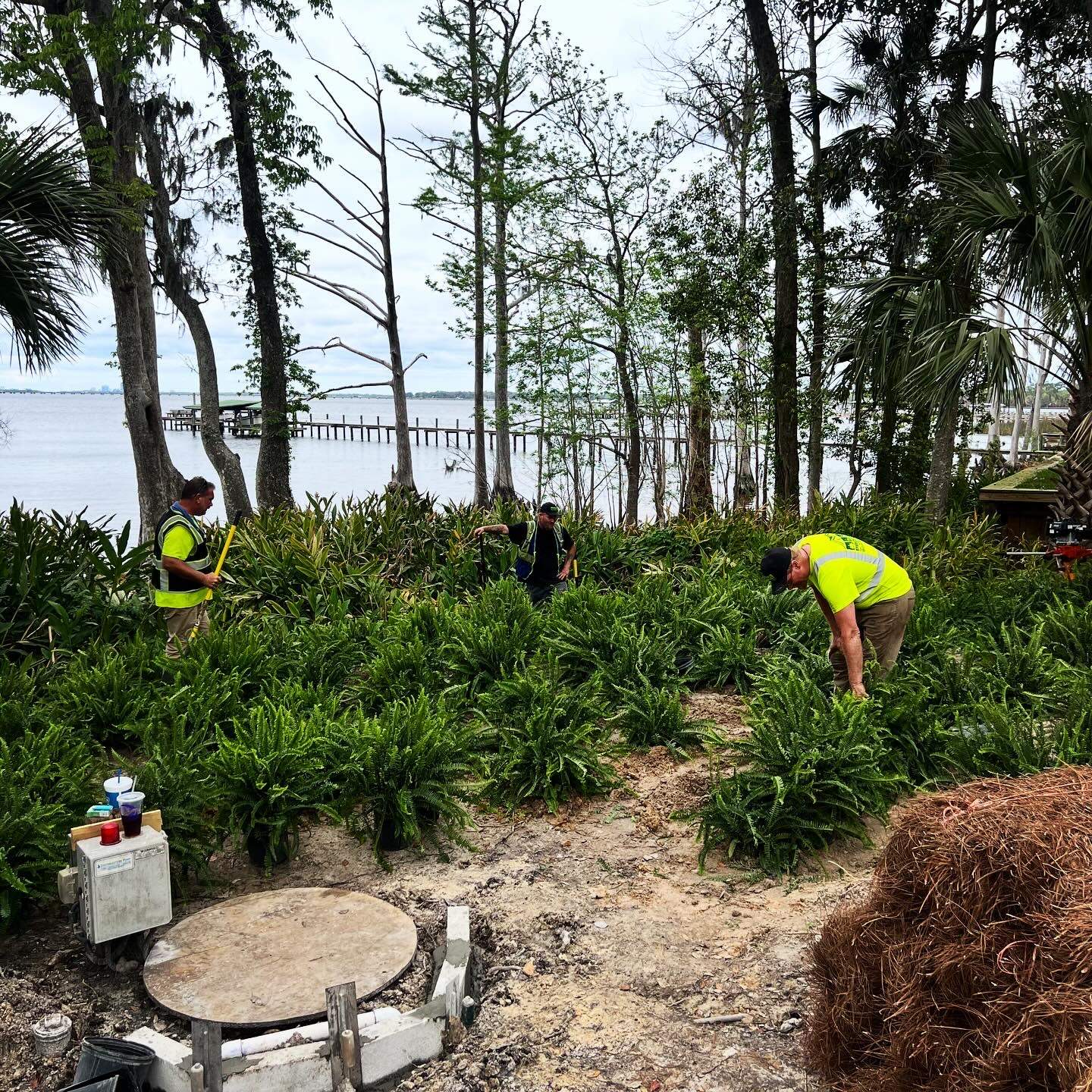 Landscape Install | Residence by ProGreen Services