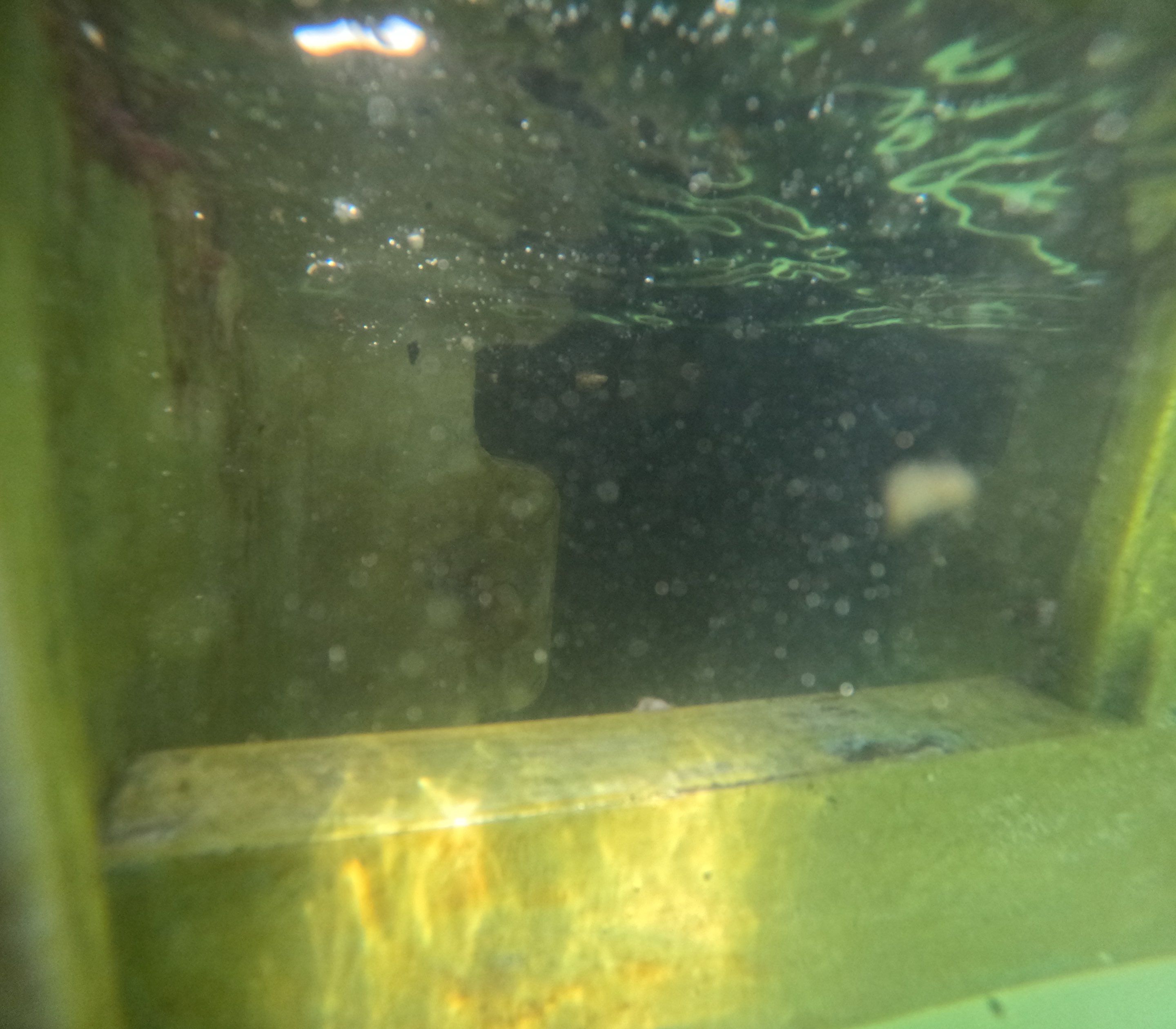 Project in Marco island, FL by Florida Hull Cleaning 