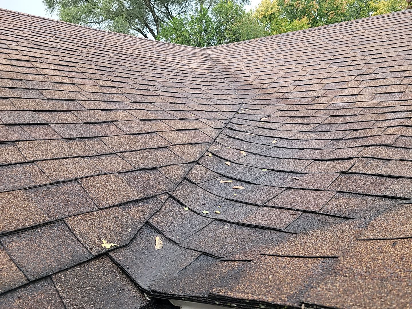 Gary Moles by Silver Leaf Contracting 
