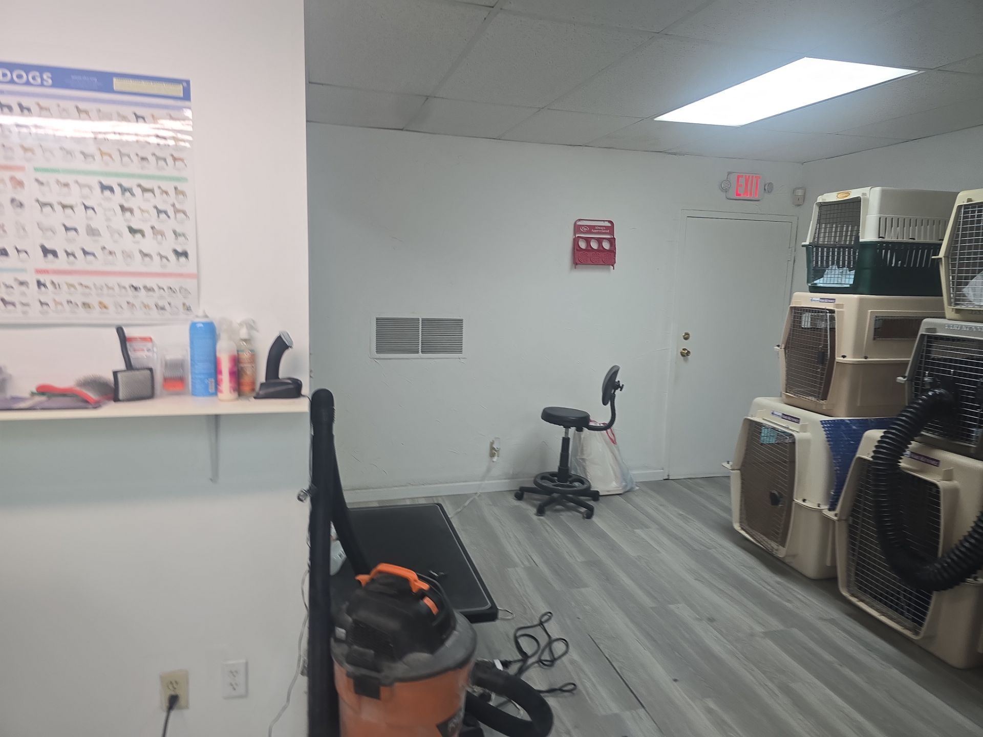 Commercial Interior Painting for Hillsdale Pet Grooming Facility by Spectrum Painting, LLC