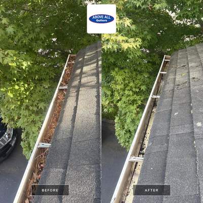 Gutter Cleaning