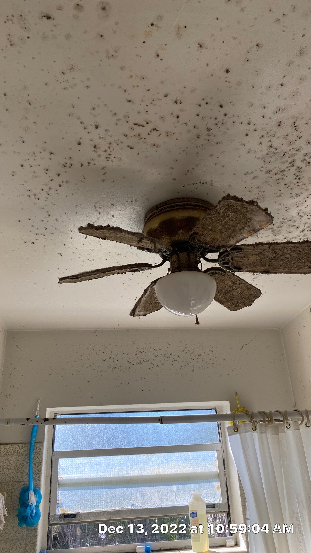 Mold Assesment using IR Camera, Moisture Meter, Air Cassatte samples and Tape lifts by Building performance Solutions LLC