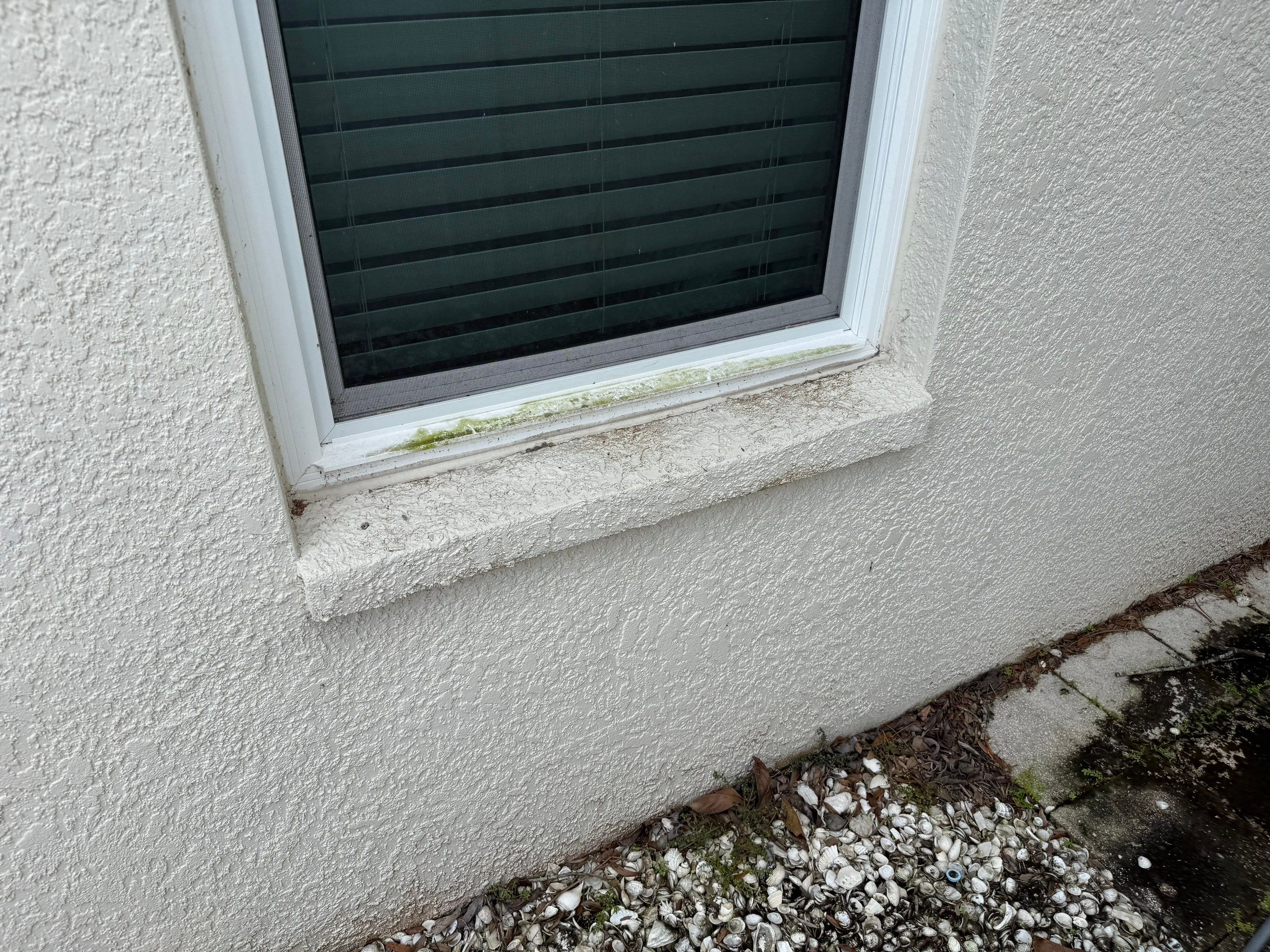 Patio, Vinyl Fence, & Partial House Wash in Creekside, Parrish, FL | Sunshine AquaWash by Sunshine AquaWash