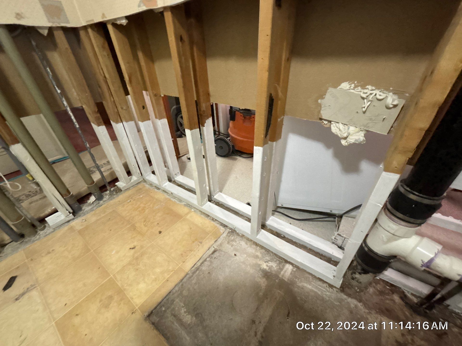 Mold Inspection by Ampm Restoration Services