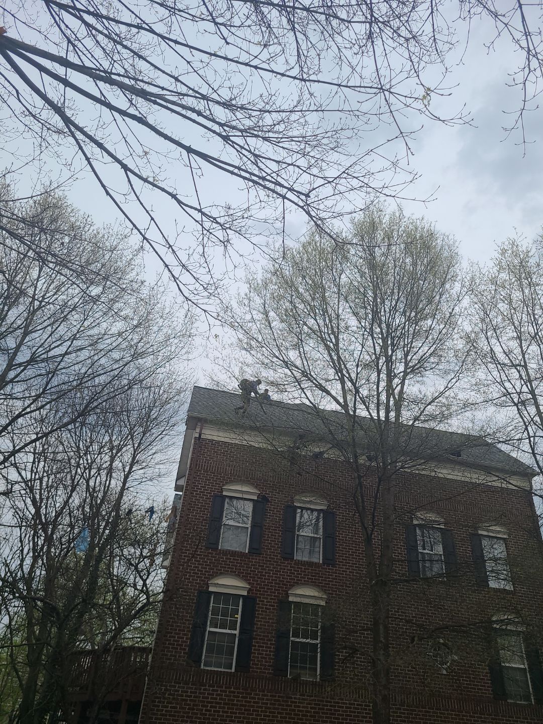 Alexandria: CertainTeed Landmark Pro Designer Shingles in Max Def Georgetown Gray by RM Banning, Inc.