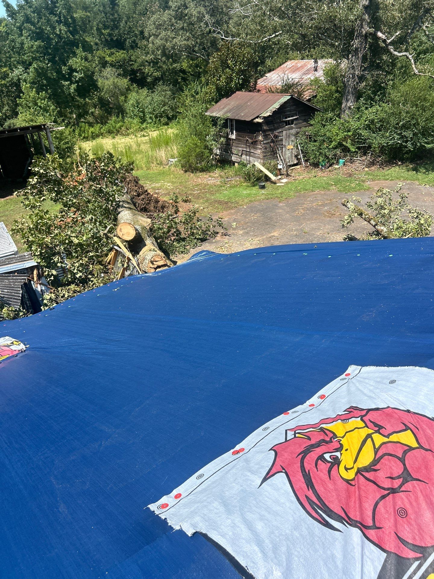 Insurance Roof Replacement for Tree Damaged Home in Seneca by Roofsters