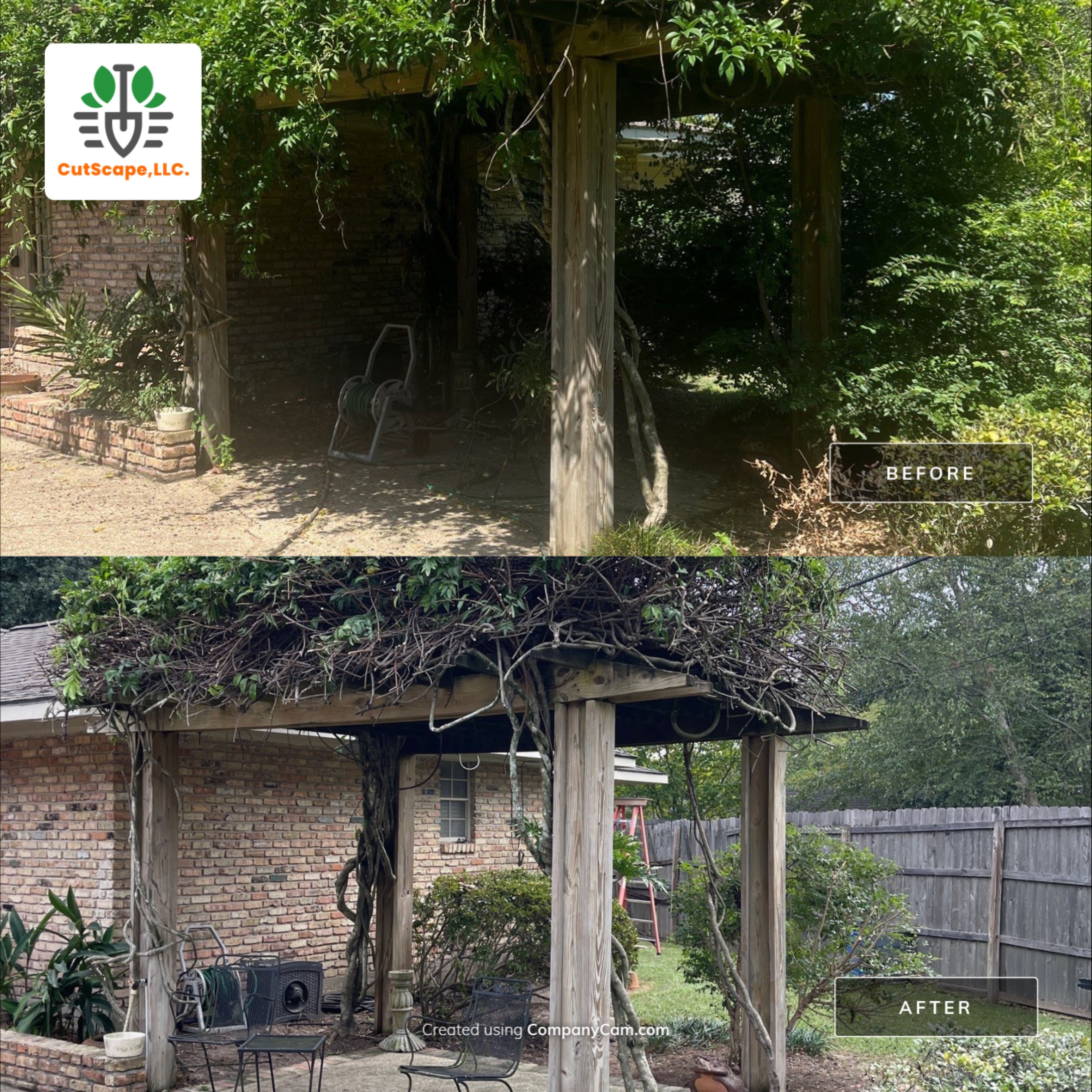 LANDSCAPE SERVICES: HERBICIDE / CLEAN OUT / TRIM / BRUSH DEBRIS REMOVAL / PROPERTY CLEAN UP by CutScape, LLC.