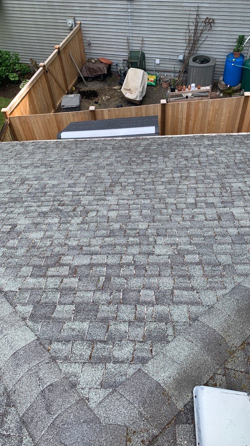 Softwashed in many Years back, and organic regrowth significant by DawnSky LLC