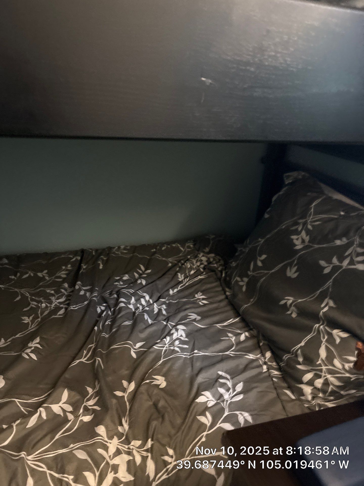 Jones Remodel by CompanyCam Sales Demo