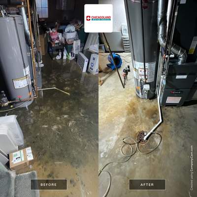 Sewage Backup