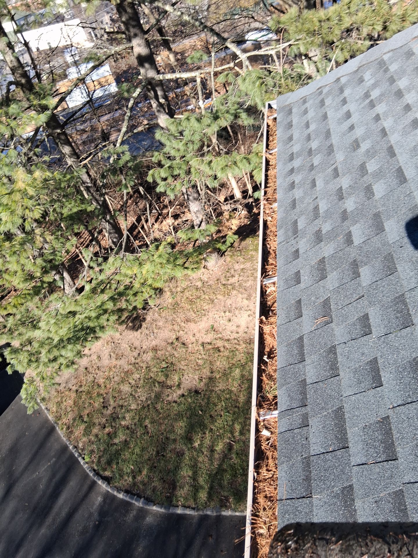 Commercial gutter cleaning Georgia before photo with filled gutters