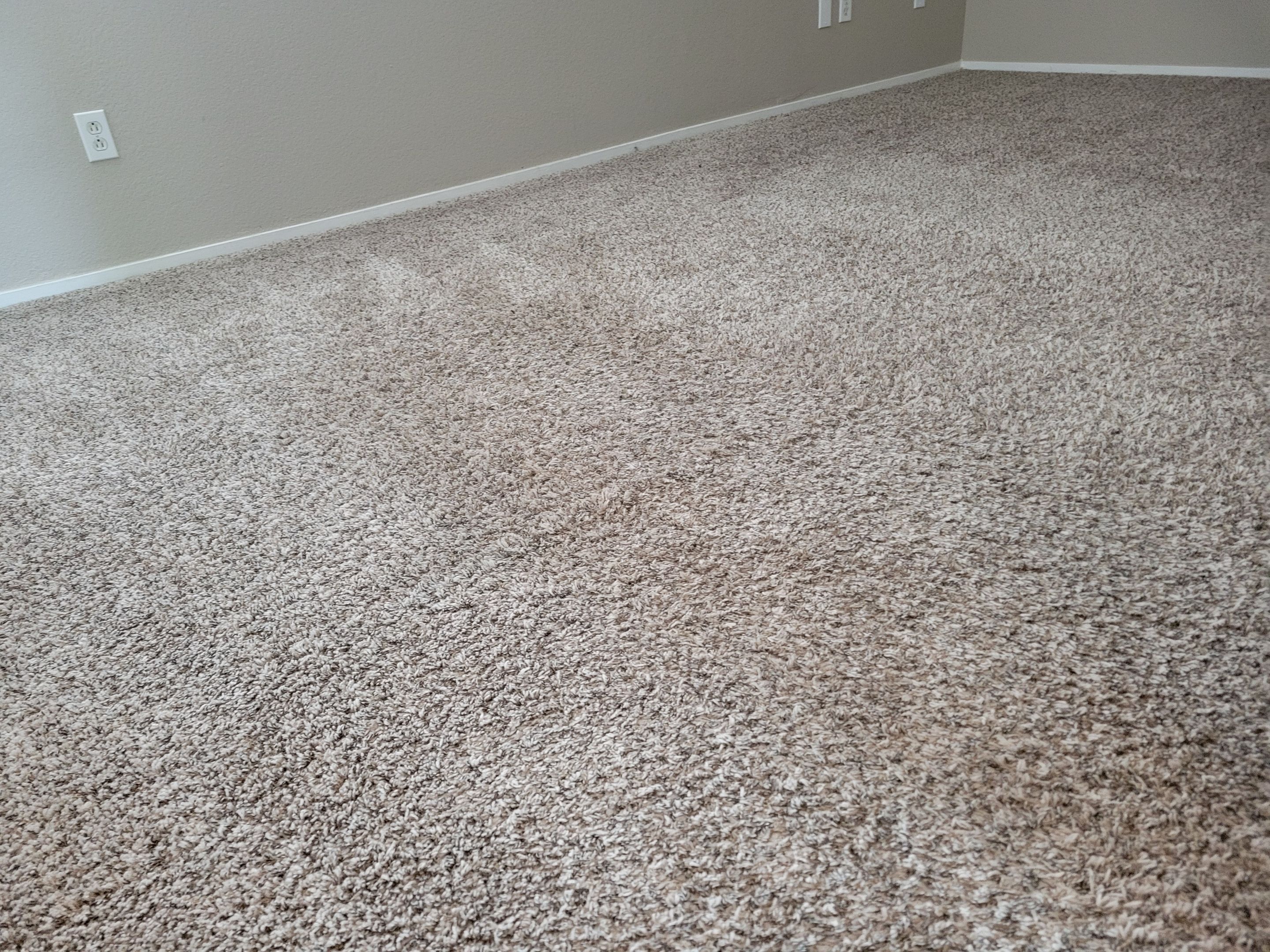 Condo, Move-out Carpet Cleaning by Ardent Carpet Restore LLC