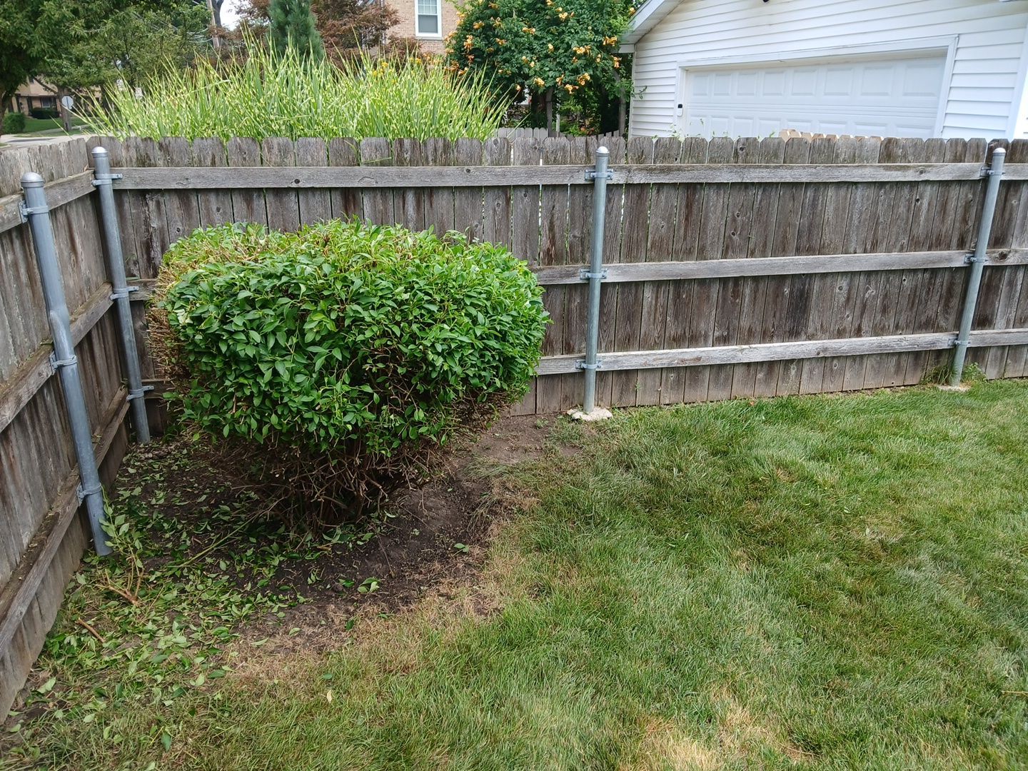 Catherine B. - Mount Prospect, IL by A&N