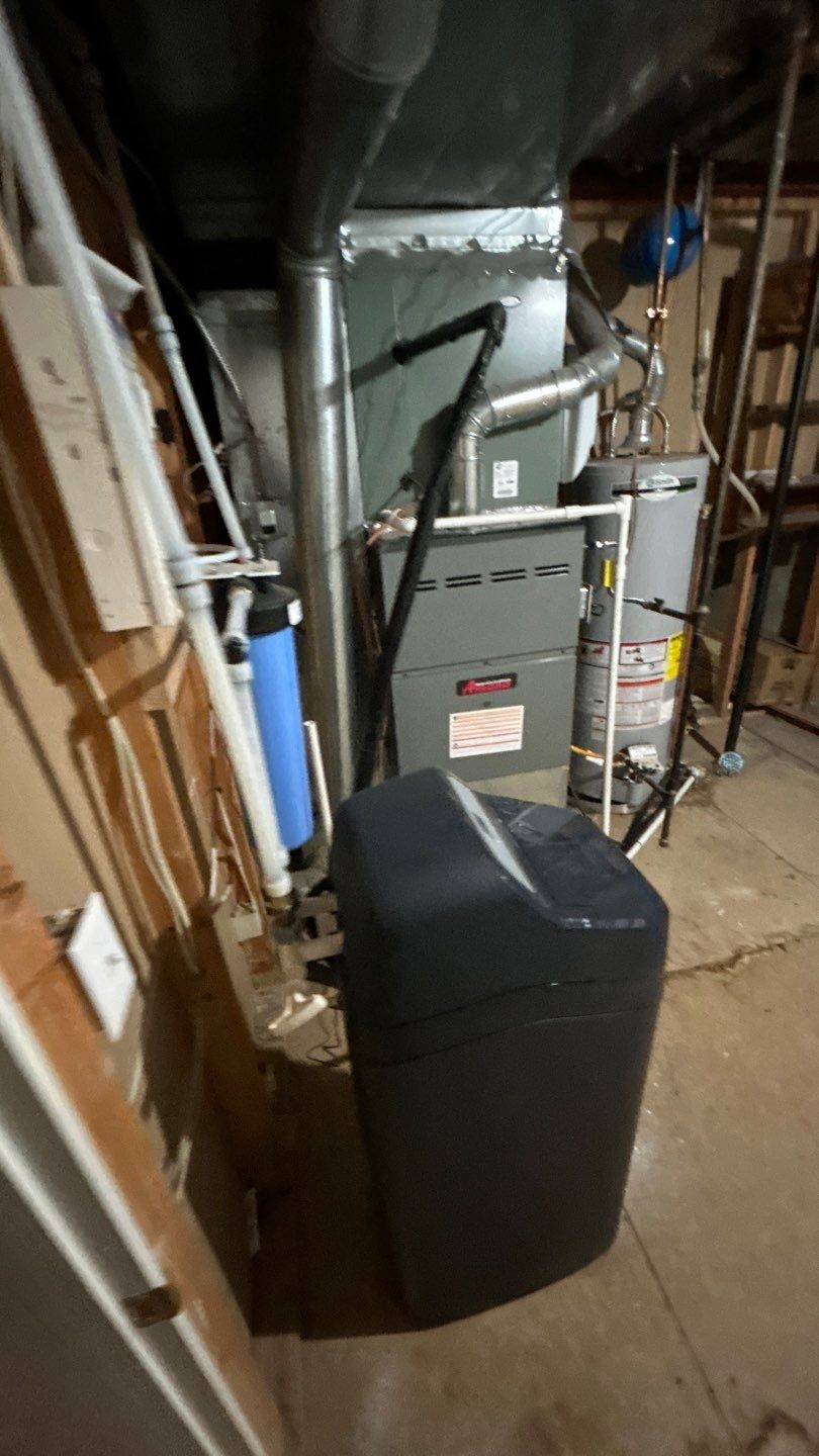 Mold Damage by Accountable Home Services