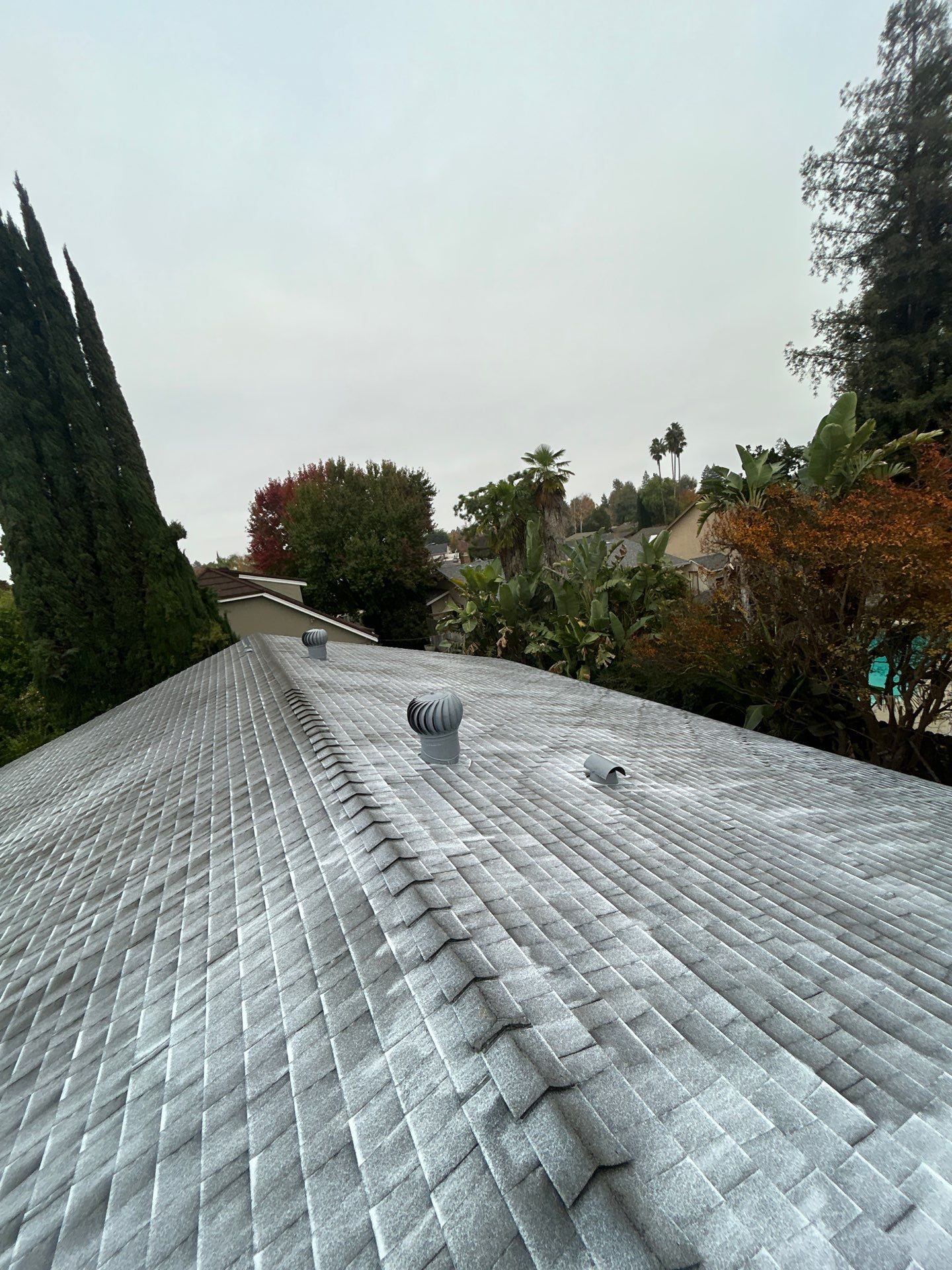 Roof Rejuvenation using Roof Maxx Treatment by Roof Maxx of Folsom
