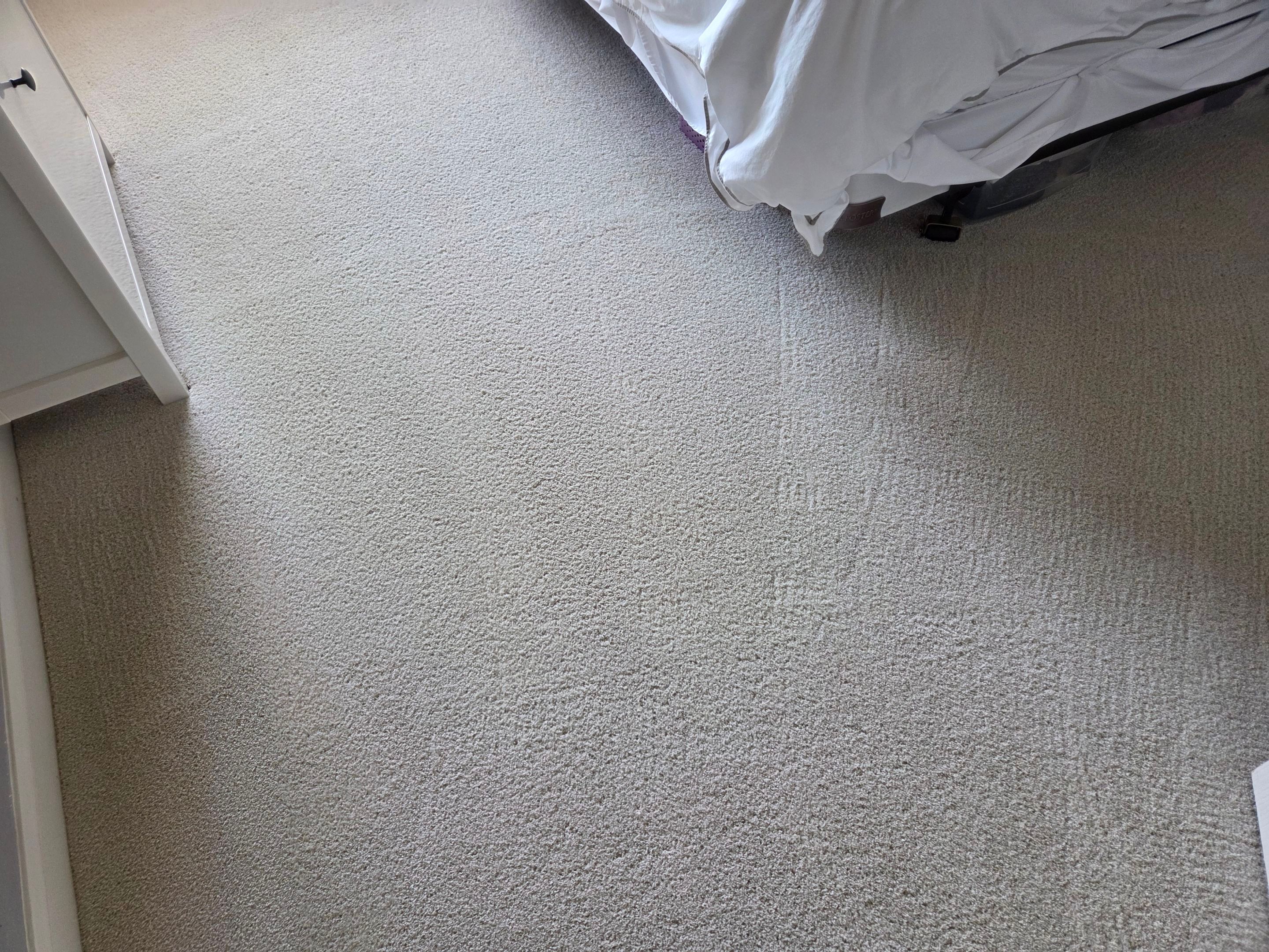 Carpet Cleaning and Stain Removal in West Sacramento by Ardent Carpet Restore LLC