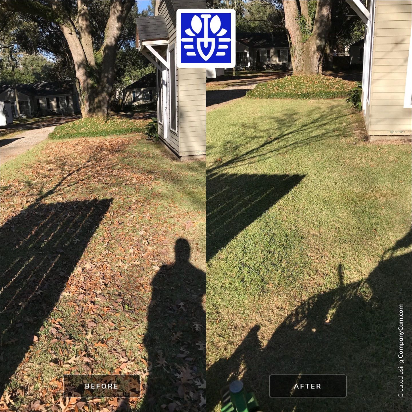 WINTER SERVICES: FULL LEAF JOB by CutScape, LLC.