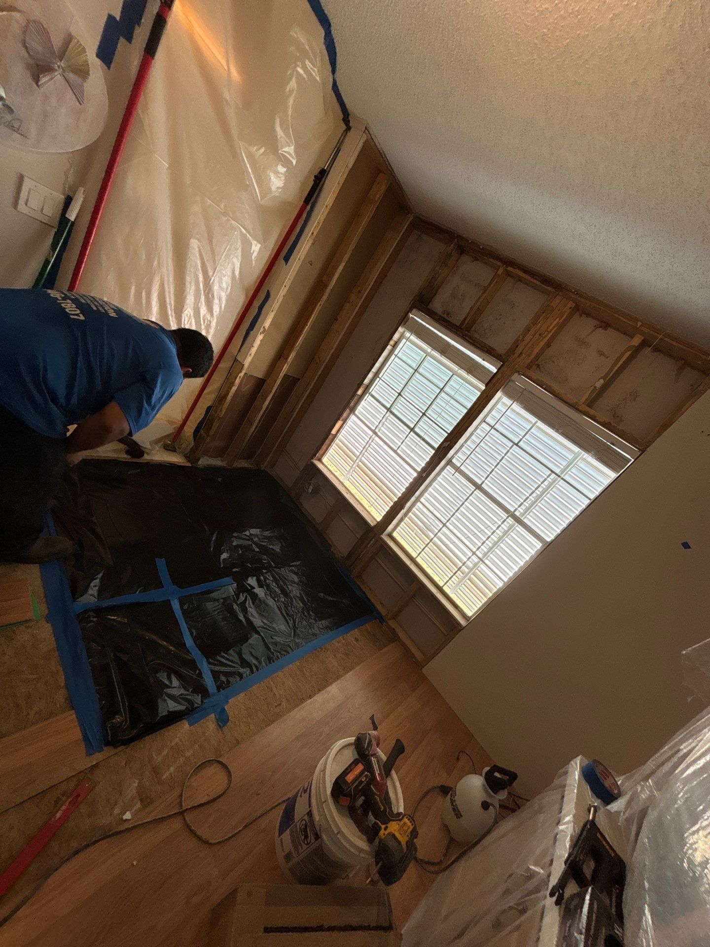 Mold Remediation Palmetto by Ampm Restoration Services 
