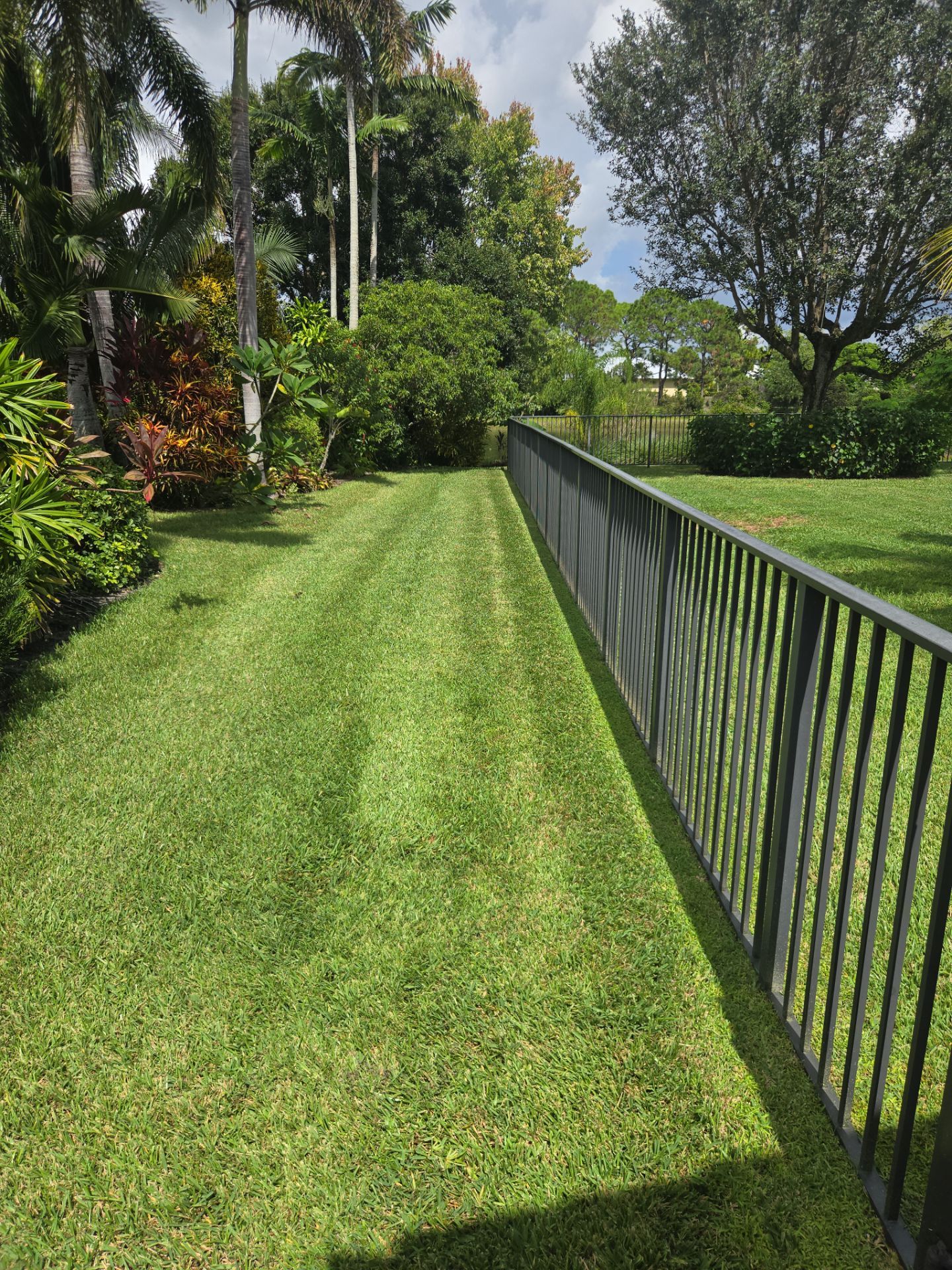 🌴✨ HAMMOCK CREEK SIGNATURE CLEANUP — THE ALPHA ZETA WAY ✨🌴 by Alpha Zeta Enterprises Inc