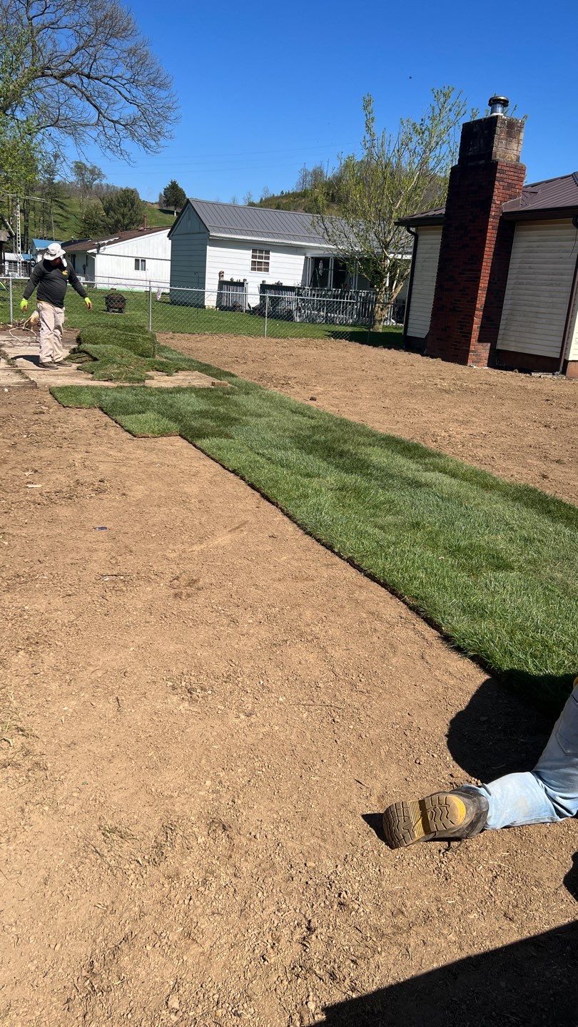 Sod Installation using Fescue Sod by GrassBusters, Inc.