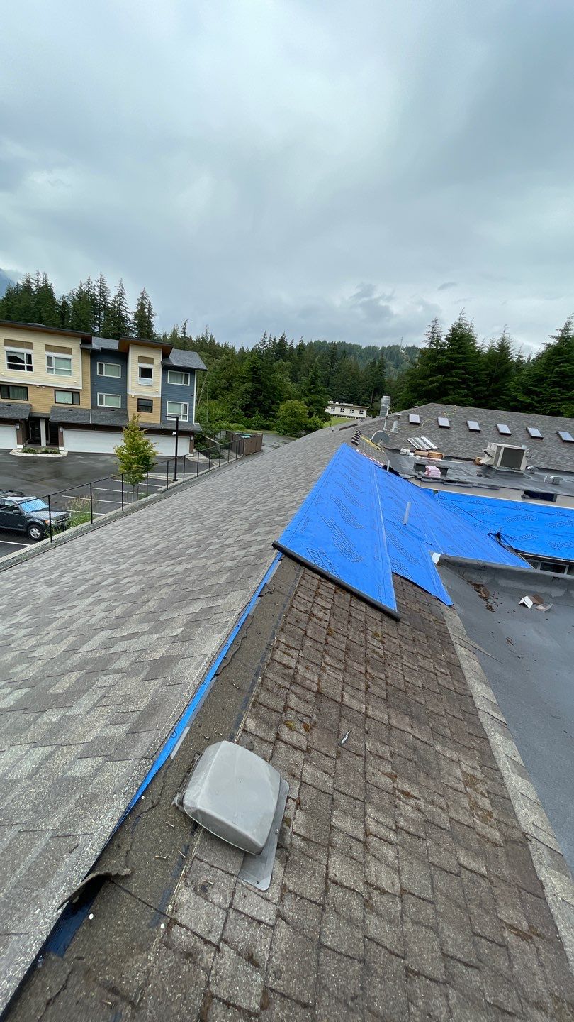 Residential ReRoofing Installation using OC Oakridge shingles by Top Notch Roofing Inc