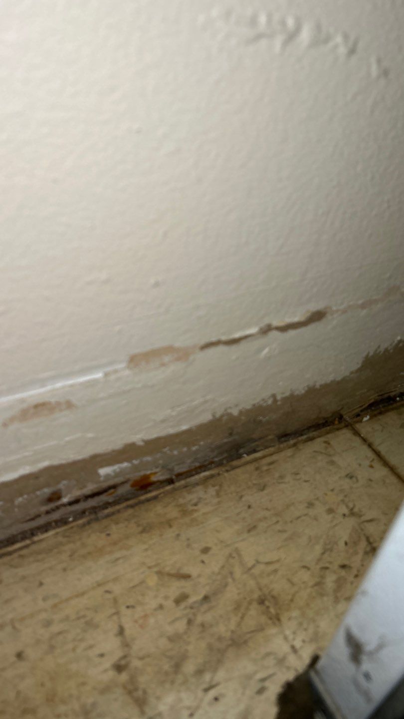 Mold Remediation by Accountable Home Services