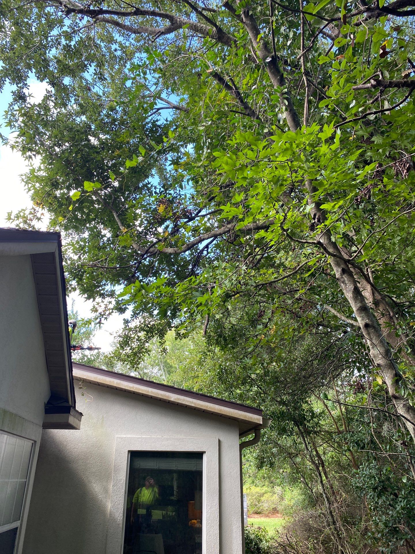 Deerwood Residence | Property Clean Up  by ProGreen Services