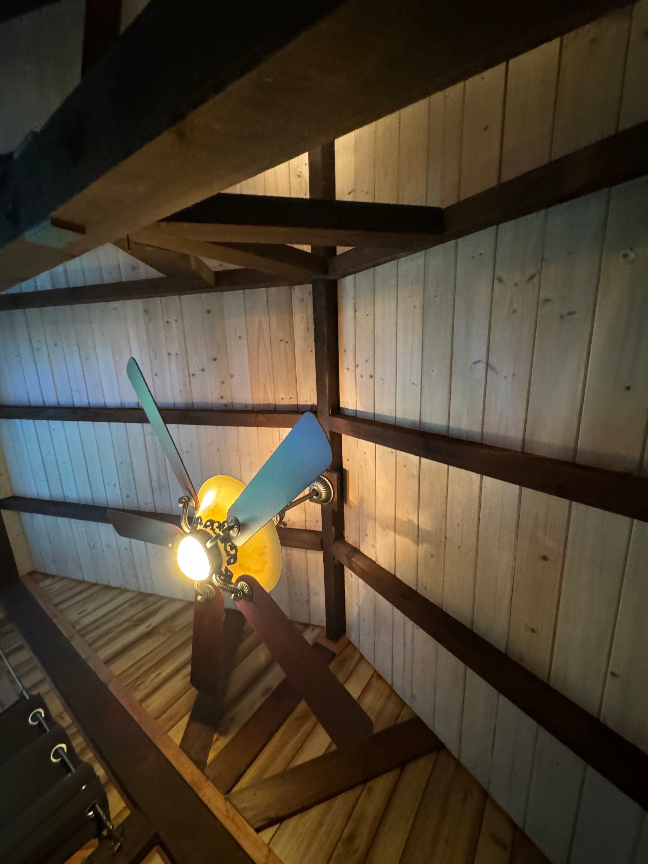 Attic & Sunroom Mold Remediation by Home Guarantee, LLC