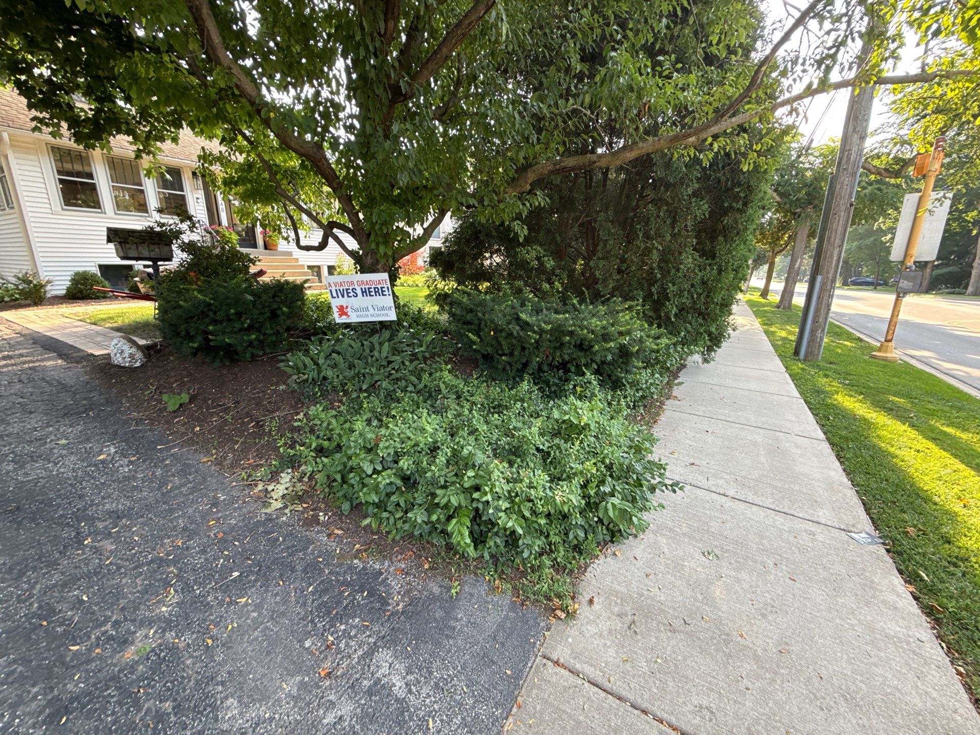 Lisa A. - Arlington Heights, IL by A&N