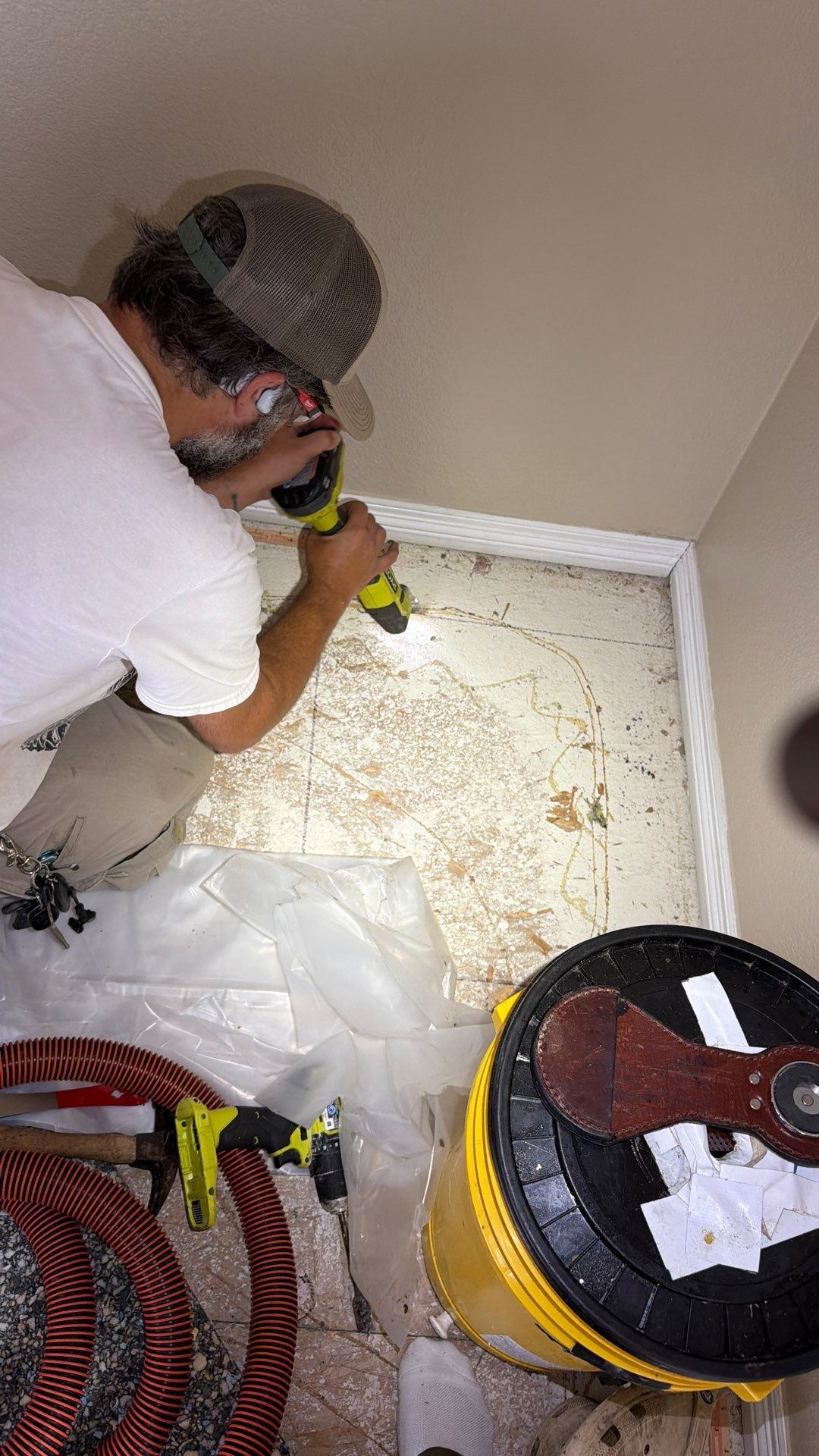 Same Room, Different Cavity, New Colony by Rockwall Honey Bee Company